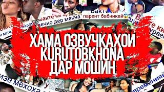 Подборка Хама озвучкахои переводи хар дар мошин, Курутобхона Переводи Точики Приколи хар Тарчума