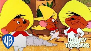 Looney Tuesdays | Best of Speedy Gonzales | Looney Tunes | @WB Kids