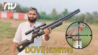 Dove Hunting with Nove Vista Liviathan Black Edition #airgunhunting