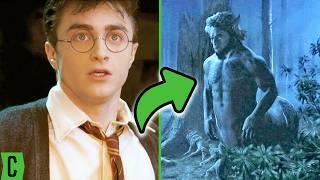 Harry Potter Magical Creatures We Wish We Saw More Of