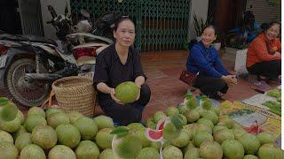 Harvest grapefruit in the forest and sell it at the rural market! Survival in the forest