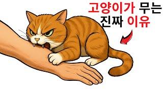 고양이가 당신을 무는 건, 이런 말을 하고 싶은 거예요...