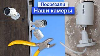 Видео последних минут со срезанных камер. Кто это сделал ? Расследование