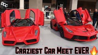 Ferrari Enzo, LaFerrari, F40, and MORE! (Cars and Chronos)