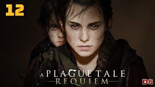 A Plague Tale: Requiem. Русская озвучка. Жизнь, которую мы заслужили. Прохождение № 12.