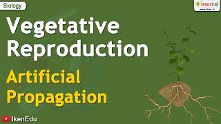 Vegetative Reproduction - Artificial Propagation | iKen | iKen Edu | iKen App