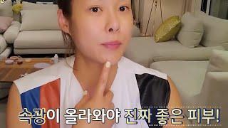 ms2 플러스 가격 대비 효과 있을까? #엠에스투플러스#엠에스투플러스골드 효과 #엠에스투