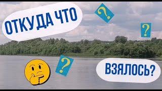 ОТКУДА ЧТО ВЗЯЛОСЬ - КУРЕЙКА