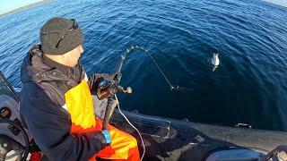 Летняя рыбалка в Баренцевом море / Summer fishing in the Barents Sea