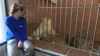 Belgrade Zoo 2011 Episode 4 Part 1