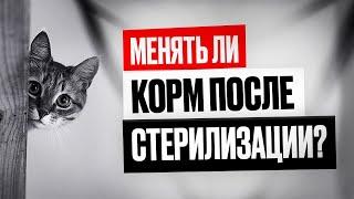 Давать ли кошке корм для стерилизованных?