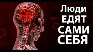 Вирус заставляет людей пожирать самих себя ! ( Plague Inc: Evolved )