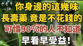 你身邊的這幾味長壽藥，竟然是不花錢的，可惜90%的人不知道！早看早受益！【中老年心語】#養老 #幸福#人生 #晚年幸福 #深夜#讀書 #養生 #佛 #為人處世#哲理