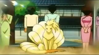 Ninetales' Lifespan- Just Waiting on a Friend (Excerpt)