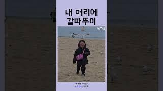 내 머리에 갈따뚜이