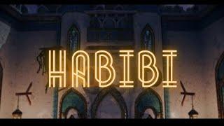 Gheboasa x YNY sebi - Habibi (Imi Place De Ea Tiktok Remix)