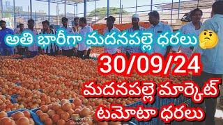 30-09-24 Madanapalle Tomato Market price Today || Today Tomato Market Rate in Madanapalle #today