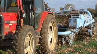 Harvesting Potatoes - from ' bee bright - OUT AND ABOUT ON THE FARM - INCREDIBLE CROPS!'