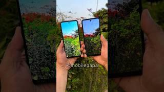 Lava Yuva 3 Vs Lava Yuva 3 pro Camera Test  #shorts #lava #mobile #5g #smartphone #comparison