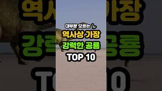 지구 역사상 가장 강력한 공룡순위 TOP10 #sorts
