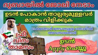 Dubai job vacancy 2024 Malayalam| UAE job vacancy| Gulf job vacancy Malayalam | Today job vacancy