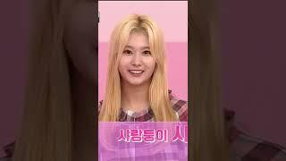 안녕하십니까 저는 트와이스 사나입니다 ~ - [TWICE] 트와이스 사나