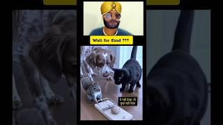 चुआ पकडा गया last मे  #reaction #reactionvideo #react #shorts #funny #memes