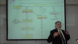 THE LIMBIC SYSTEM & HYPOTHALAMUS by Professor Fink
