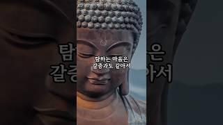 자비로운 삶이 곧 부처의 길 | 놓아줌에서 오는 참된 평온| 지금 이 순간을 보배로 삼아라