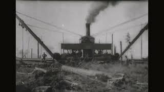 Historic Reel of Longleaf Logging: Over 100 Years old