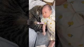 猫が赤ちゃんを家族だと認識した瞬間がコチラ【とらまる】