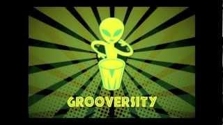 Grooversity Mission TEDx