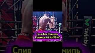 Слив боя Шамиль Галимов vs АНУБИС!!! #shorts #popmma