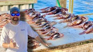 Lionfish Masacre In Pensacola!