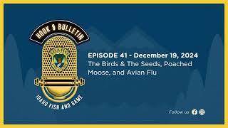 Hook and Bulletin | Ep. 41 - The Birds & The Seeds, Poached Moose, and Avian Flu