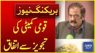 Rana Sana Agrees With The Proposal Of Saad Rafiq's National Committee | Breaking News | Dawn News