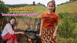 ดิบ ฝน ชนเผ่า EP122 ไม่เคยยเห็นอาหารป่าสูตรบ้าน ๆ แตนนึ่งรากผักชูสูตรโบราณของสาวลาหู่