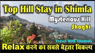 "GhumoG Bharke: Best Budget Hilltop Homestay in Shimla, Himachal Pradesh"