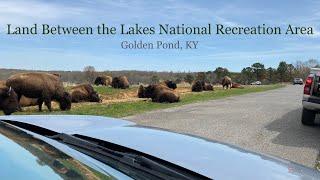 Land Between the Lakes National Recreation Area - Golden Pond, KY