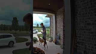 Boy And Brave Dog Check Out Lightning Storm