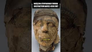НАЙДЕНА ОТОРВАННАЯ ГОЛОВА ВОЗРАСТОМ БОЛЕЕ 4000 ЛЕТ #shorts #shortvideo #наука #история #факты