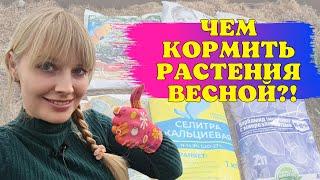 ВАЖНЫЕ весенние подкормки. Чем кормить САД и ОГОРОД ВЕСНОЙ