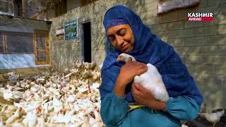 Empowering Livelihoods: Mahjabeen Ara's Free-Range Poultry Initiative