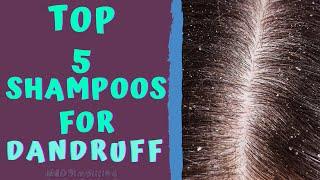 BEST SHAMPOOS FOR DANDRUFF - TOP ANTI-DANDRUFF SHAMPOOS