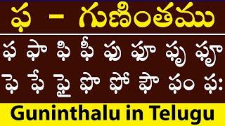 ఫ - గుణింతము | Pha Gunitham | how to write telugu Pa Guninthalu | Guninthalu in Telugu