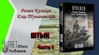 Роман Куликов. Ежи Тумановский.  Штык.  Часть 1. Аудиокнига