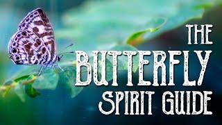 Butterfly Spirit Guide - Ask the Spirit Guides Oracle Totem Animal - Power Animal - Magical Crafting