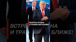 Встреча Путина и Трампа всё ближе! #трамп #путин #политика #новости #сша #сво #украина #переговоры