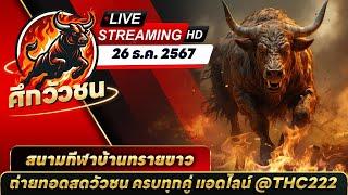 #ดูวัวชนสด [LIVE] ถ่ายทอดสดวัวชนวันนี้#วัวชน สนามกีฬาชนโคบ้านทรายขาว  วันที่ 26 ธันวาคม 2567