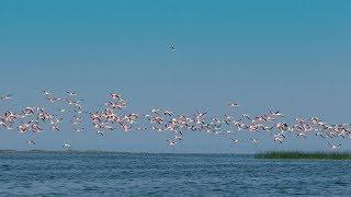 CHILIKA Wildlife Sanctuary